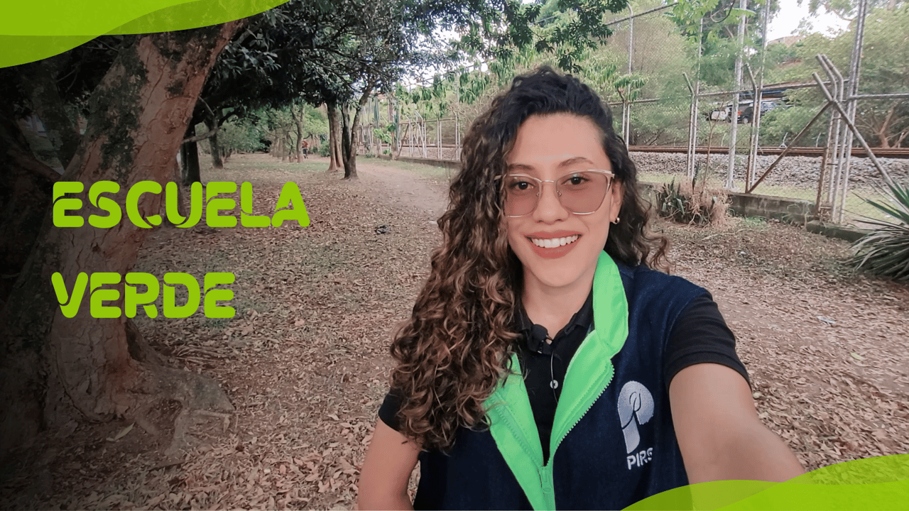 ESCUELA VERDE